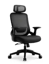 High back ergonomic mesh office chair with adjustable lumbar support.